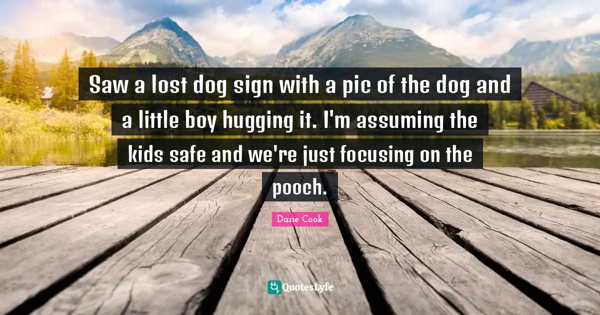 Saw a lost dog sign with a pic of the dog and a little boy hugging it. I'm assuming the kids safe and we're just focusing on the pooch.