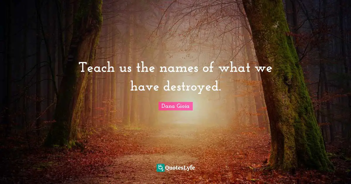 Teach us the names of what we have destroyed.