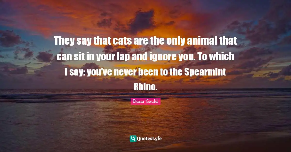 They say that cats are the only animal that can sit in your lap and ignore you. To which I say: you've never been to the Spearmint Rhino.