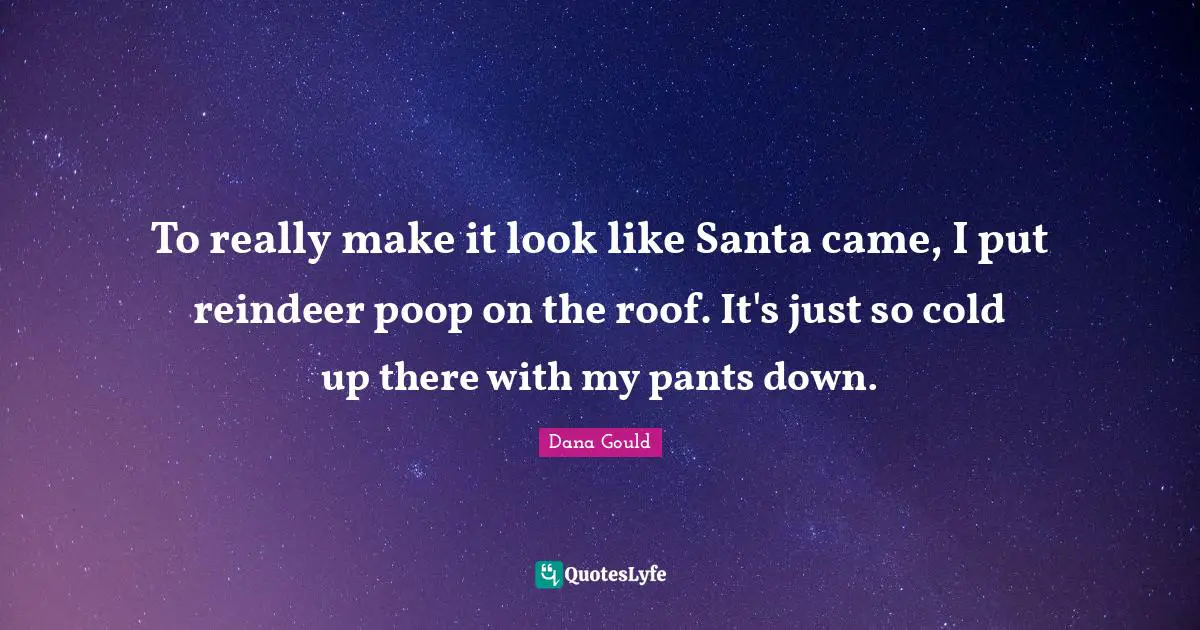To really make it look like Santa came, I put reindeer poop on the roof. It's just so cold up there with my pants down.