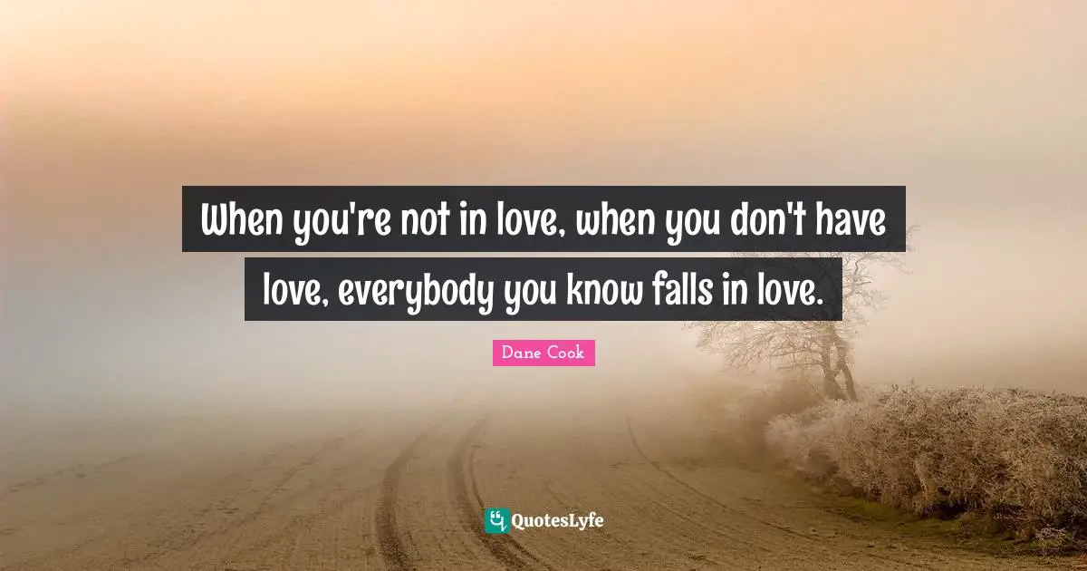 Dane Cook Quotes: "When you're not in love, when you don't have love, everybody you know falls in love."