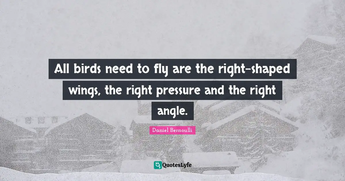 All birds need to fly are the right-shaped wings, the right pressure and the right angle.