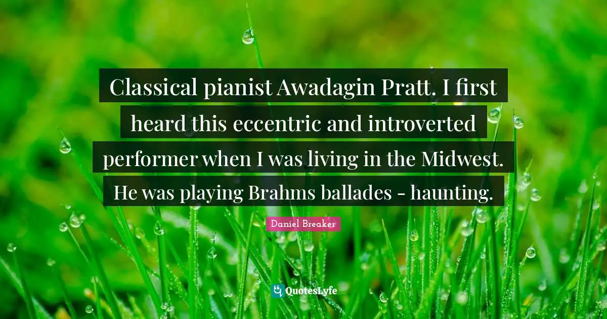 Classical pianist Awadagin Pratt. I first heard this eccentric and introverted performer when I was living in the Midwest. He was playing Brahms ballades - haunting.