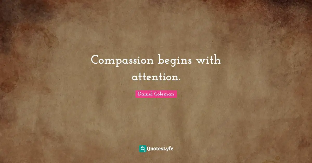 Compassion begins with attention.