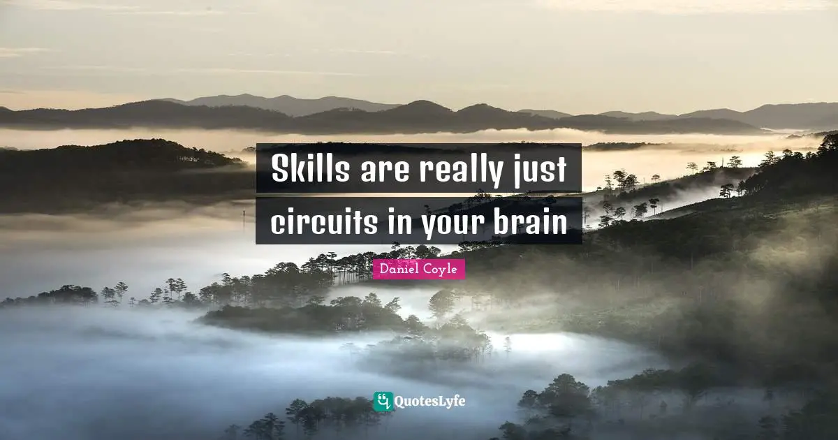 Skills are really just circuits in your brain