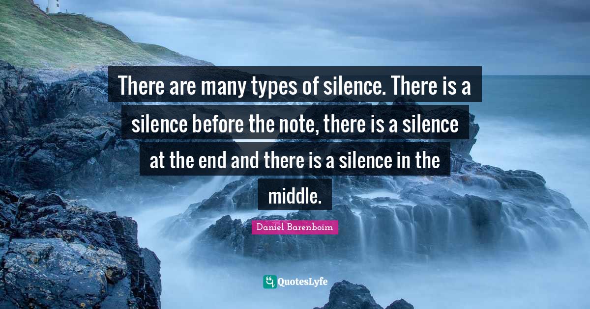 There are many types of silence. There is a silence before the note, t