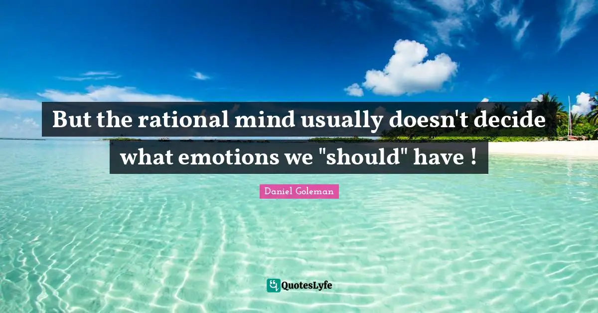 But the rational mind usually doesn't decide what emotions we "should" have !