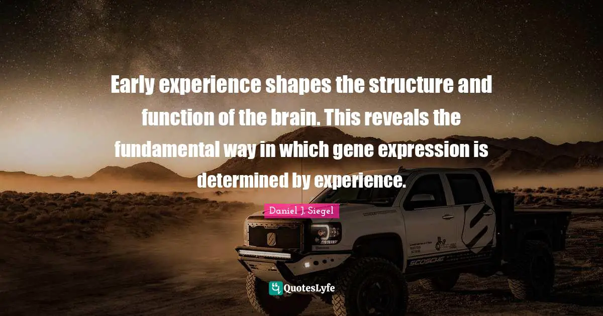 Early experience shapes the structure and function of the brain. This reveals the fundamental way in which gene expression is determined by experience.