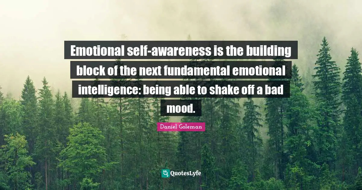 Emotional self-awareness is the building block of the next fundamental emotional intelligence: being able to shake off a bad mood.