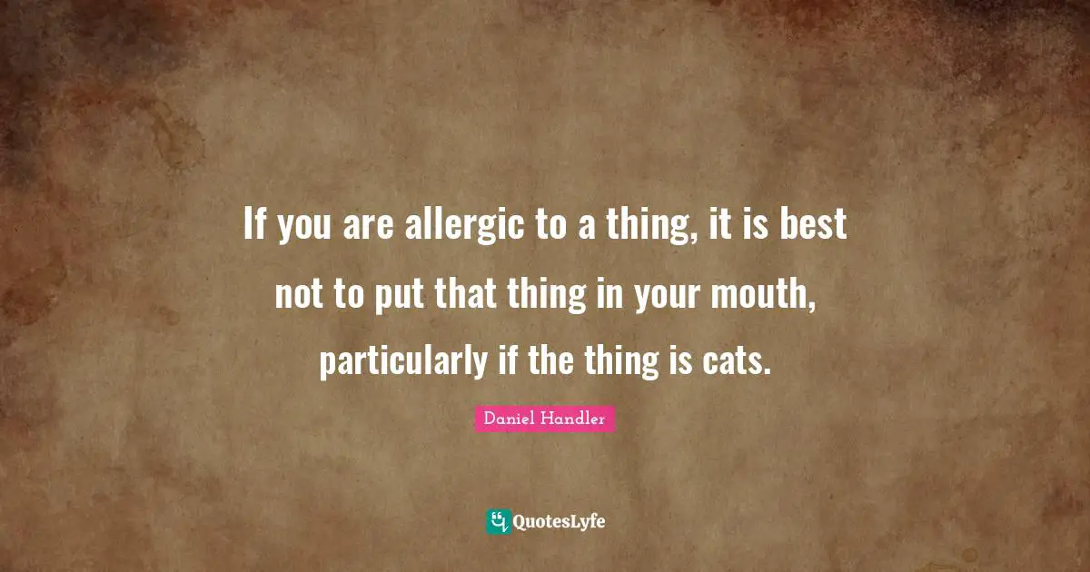 Daniel Handler Quotes: "If you are allergic to a thing, it is best not to put that thing in your mouth, particularly if the thing is cats."