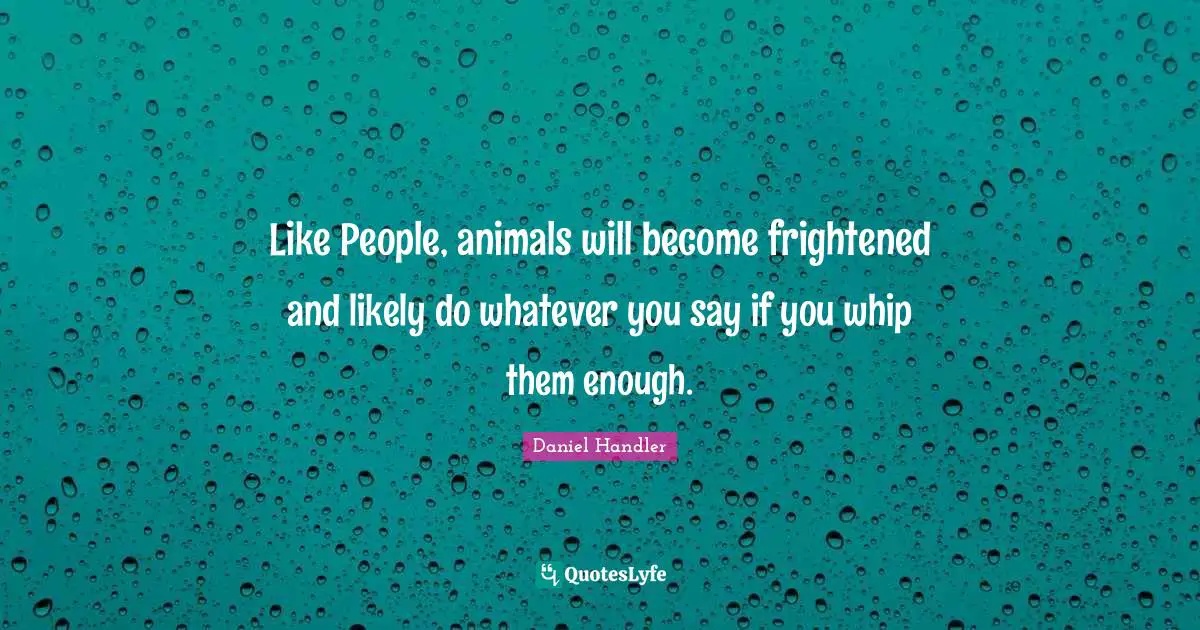 Like People, animals will become frightened and likely do whatever you say if you whip them enough.