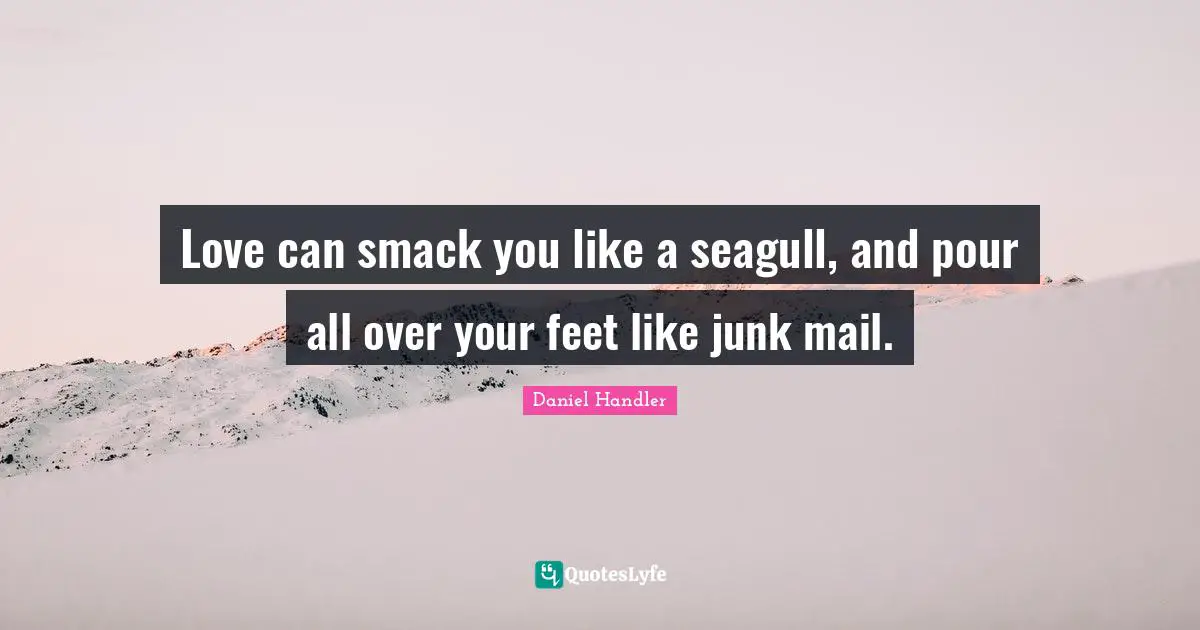 Daniel Handler Quotes: "Love can smack you like a seagull, and pour all over your feet like junk mail."