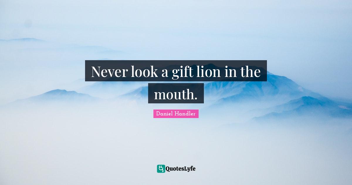 Never look a gift lion in the mouth.