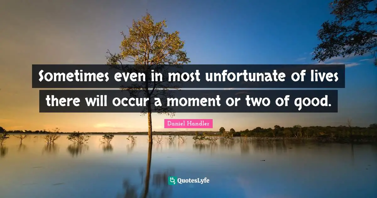 Sometimes even in most unfortunate of lives there will occur a moment or two of good.
