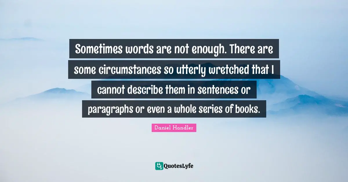 Sometimes words are not enough. There are some circumstances so utterly wretched that I cannot describe them in sentences or paragraphs or even a whole series of books.