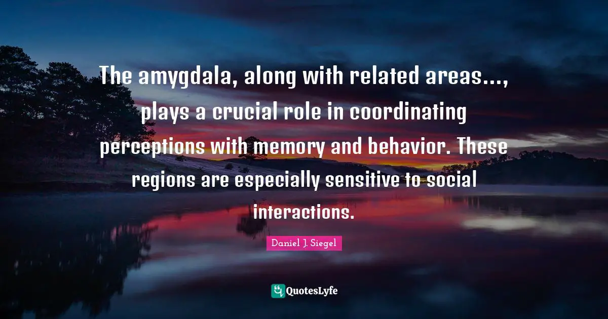 Crucial Quotes: "The amygdala, along with related areas..., plays a crucial role in coordinating perceptions with memory and behavior. These regions are especially sensitive to social interactions."