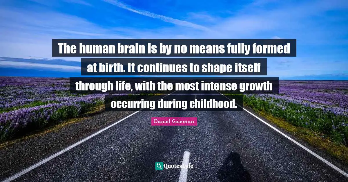 The human brain is by no means fully formed at birth. It continues to shape itself through life, with the most intense growth occurring during childhood.