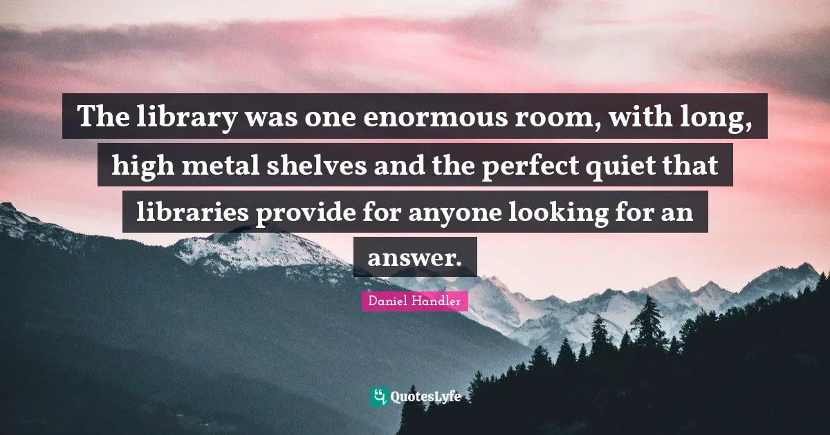 The library was one enormous room, with long, high metal shelves and the perfect quiet that libraries provide for anyone looking for an answer.