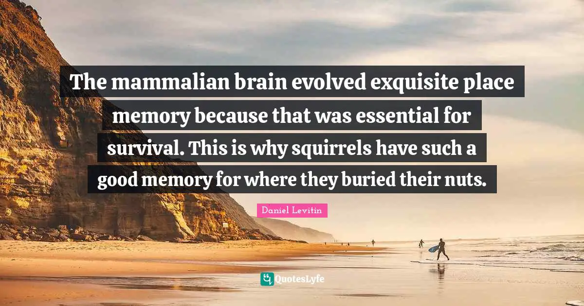 Daniel Levitin Quotes: "The mammalian brain evolved exquisite place memory because that was essential for survival. This is why squirrels have such a good memory for where they buried their nuts."