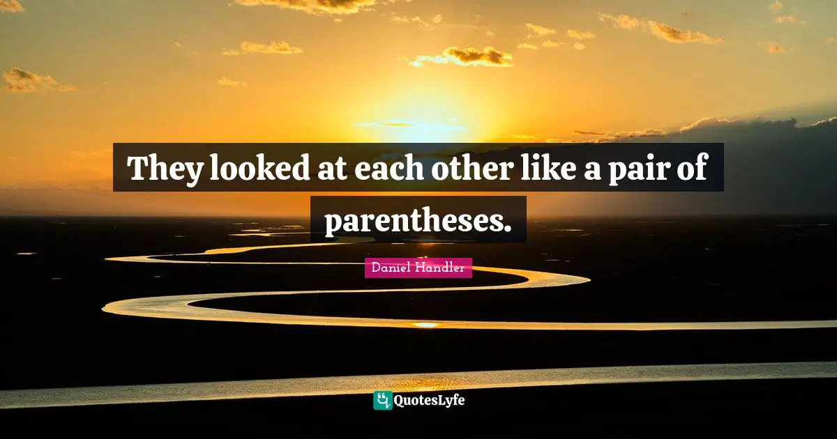 Daniel Handler Quotes: "They looked at each other like a pair of parentheses."