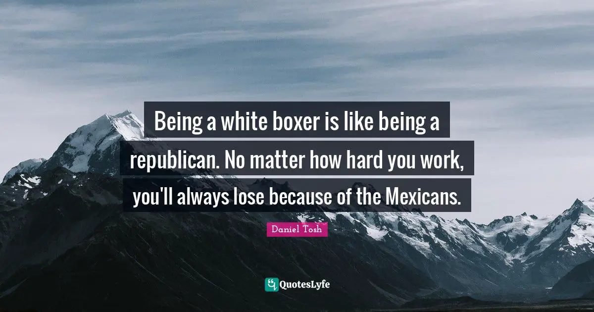 Being a white boxer is like being a republican. No matter how hard you work, you'll always lose because of the Mexicans.