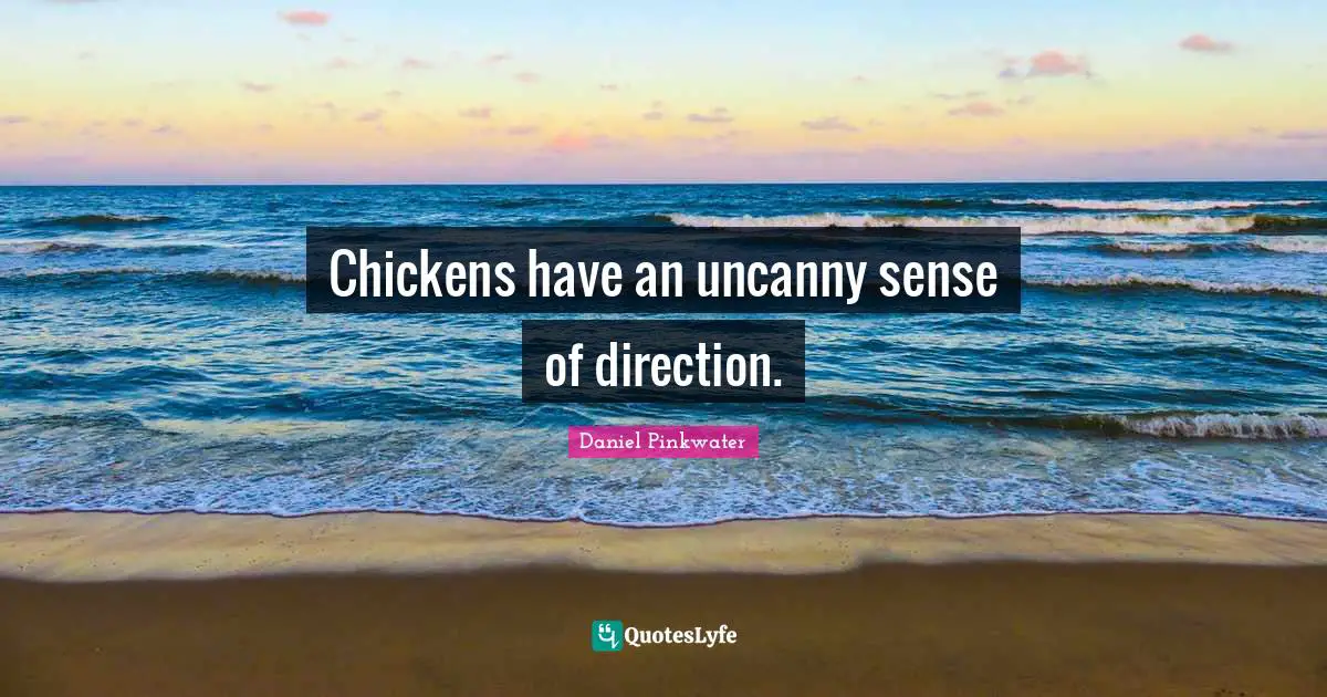 Chickens have an uncanny sense of direction.