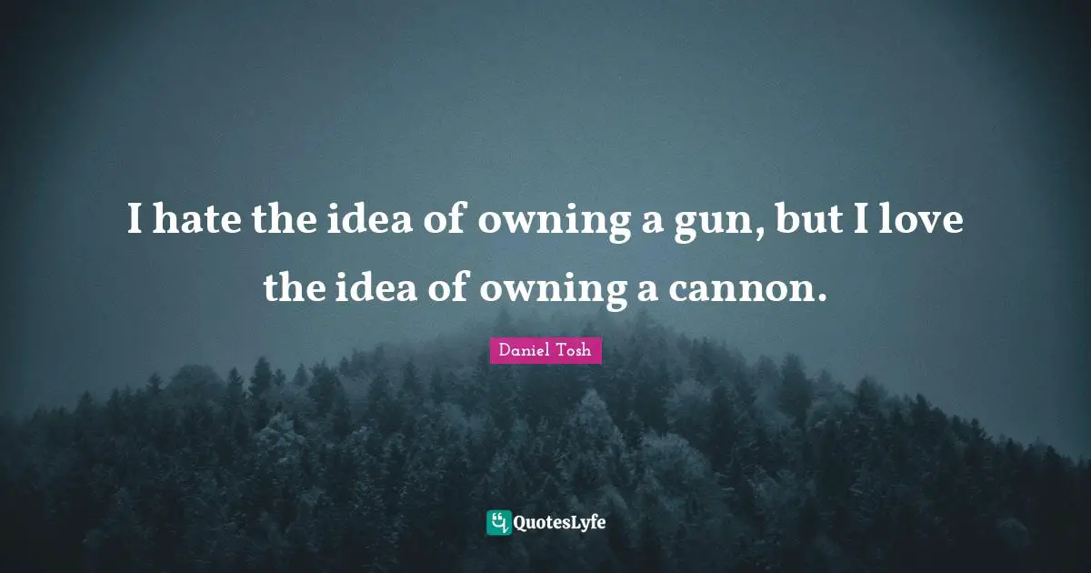 I hate the idea of owning a gun, but I love the idea of owning a cannon.