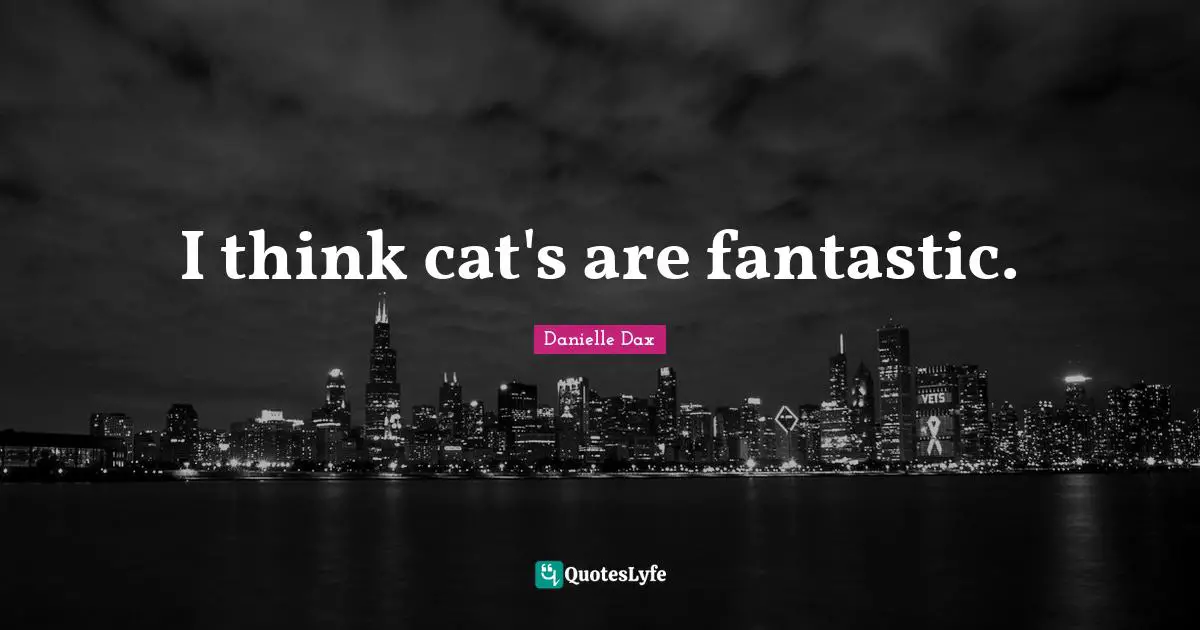 I think cat's are fantastic.