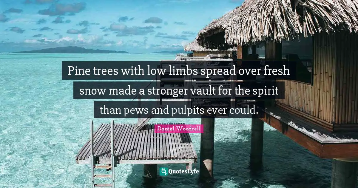 Pine trees with low limbs spread over fresh snow made a stronger vault for the spirit than pews and pulpits ever could.