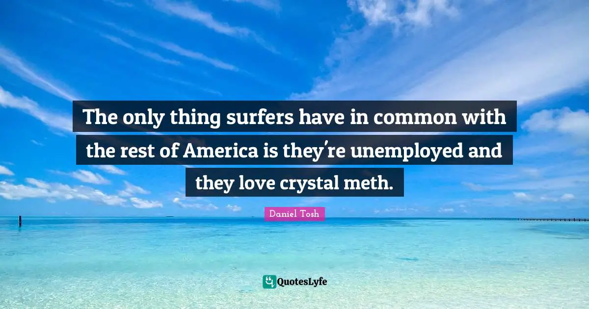 The only thing surfers have in common with the rest of America is they're unemployed and they love crystal meth.