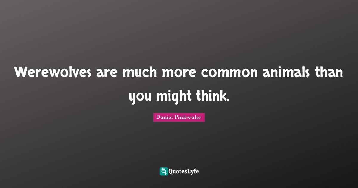 Werewolves are much more common animals than you might think.