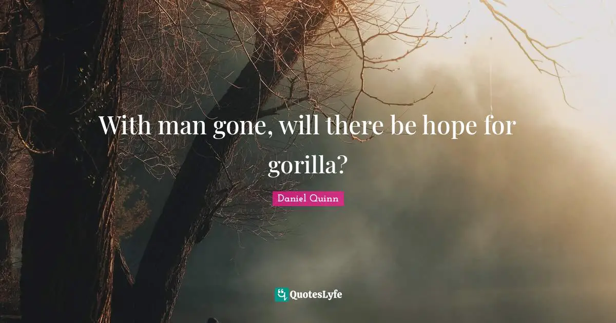 With man gone, will there be hope for gorilla?