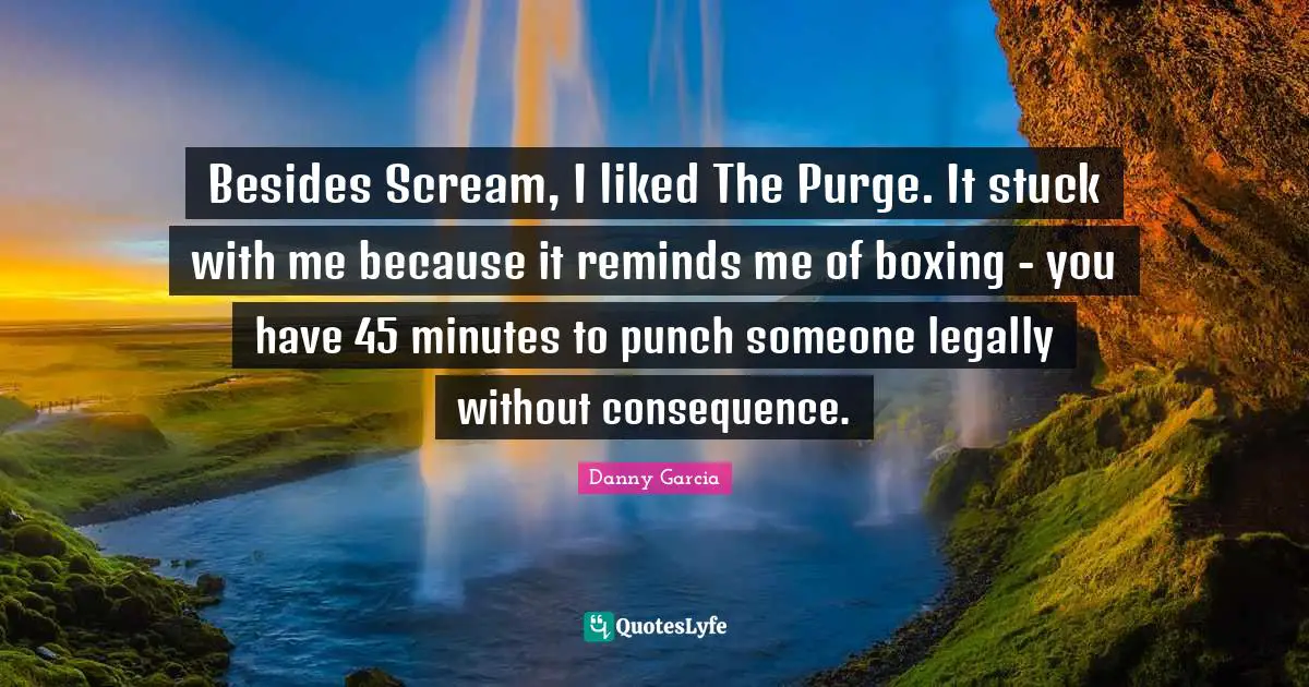 Besides Scream, I liked The Purge. It stuck with me because it reminds me of boxing - you have 45 minutes to punch someone legally without consequence.