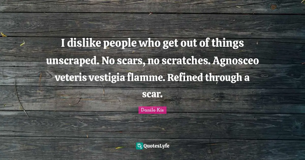 I dislike people who get out of things unscraped. No scars, no scratches. Agnosceo veteris vestigia flamme. Refined through a scar.