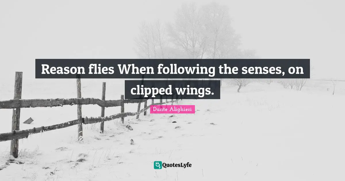 Reason flies When following the senses, on clipped wings.