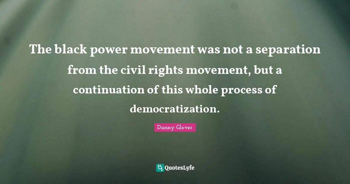 The black power movement was not a separation from the civil rights movement, but a continuation of this whole process of democratization.