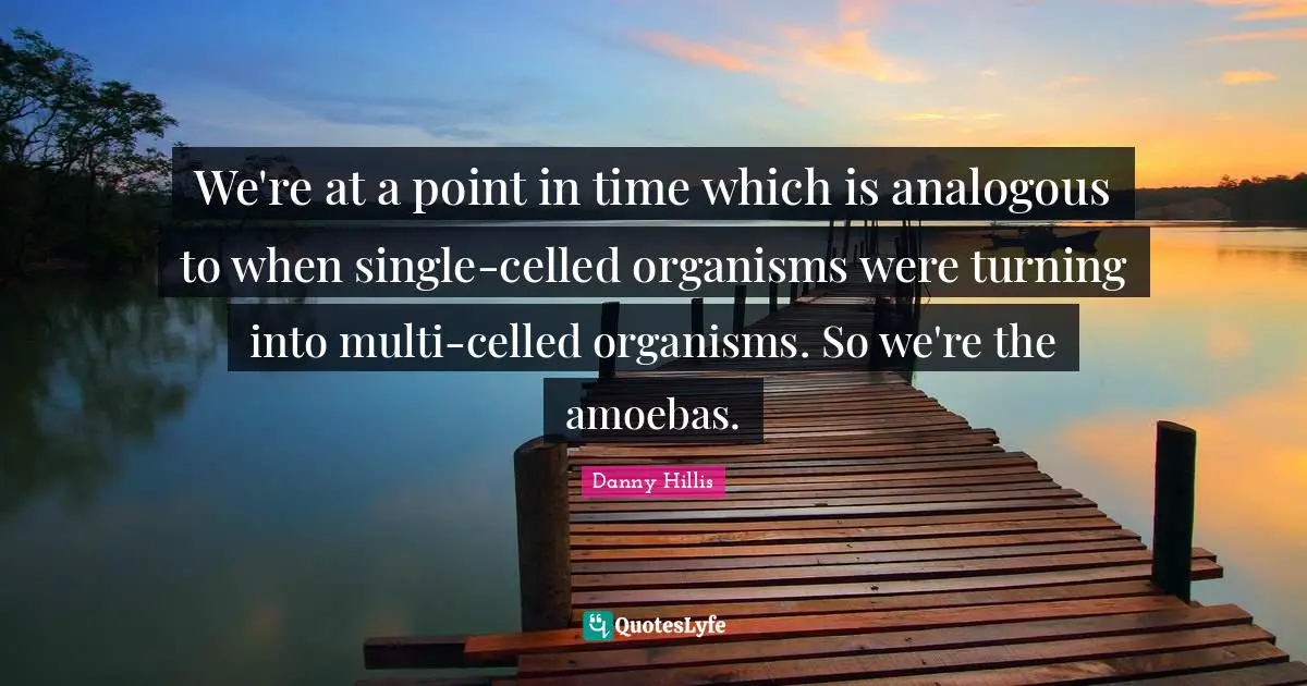 We're at a point in time which is analogous to when single-celled organisms were turning into multi-celled organisms. So we're the amoebas.