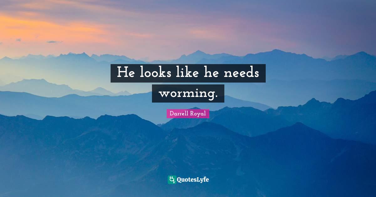 He looks like he needs worming.