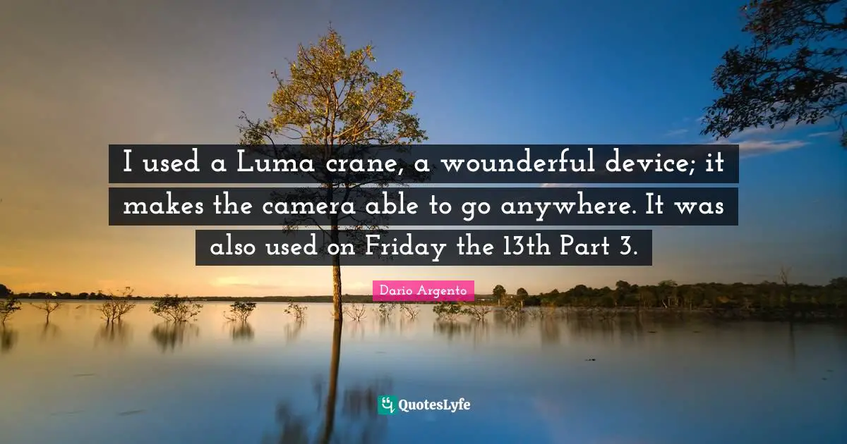 I used a Luma crane, a wounderful device; it makes the camera able to go anywhere. It was also used on Friday the 13th Part 3.