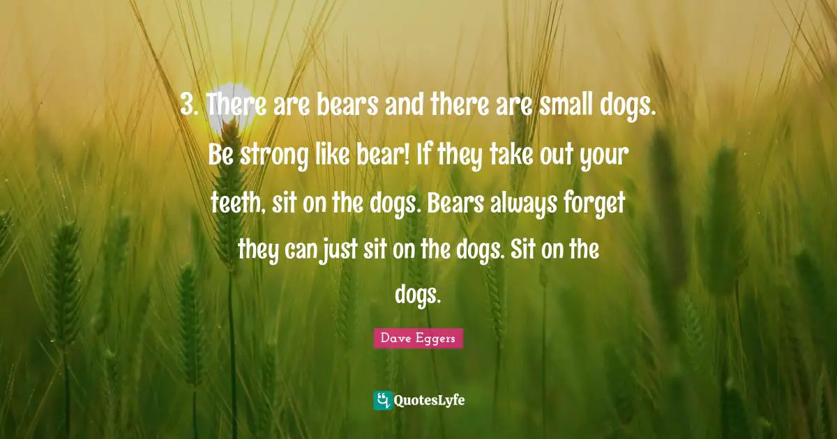 3. There are bears and there are small dogs. Be strong like bear! If they take out your teeth, sit on the dogs. Bears always forget they can just sit on the dogs. Sit on the dogs.