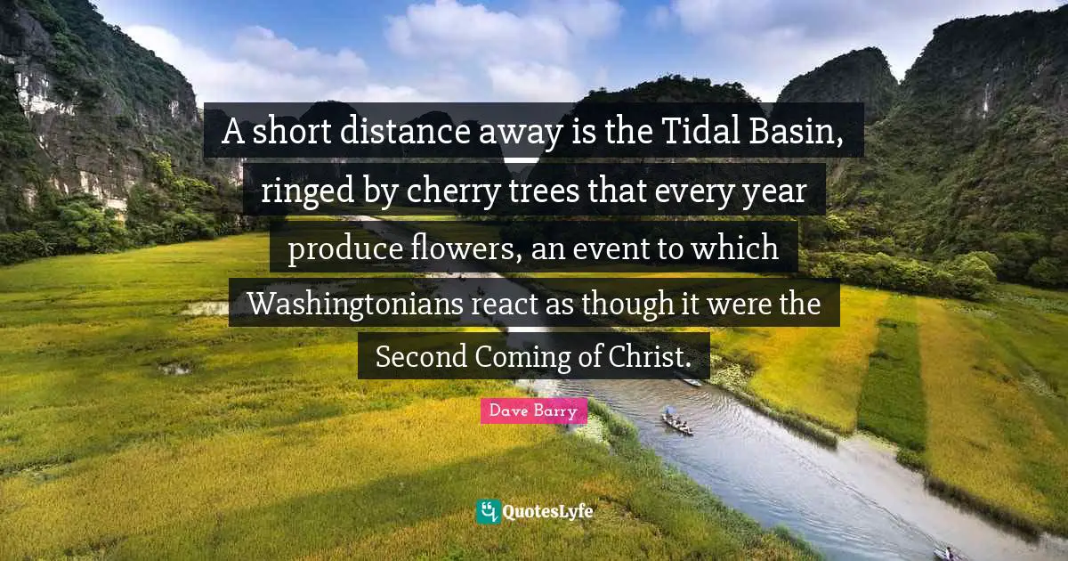 A short distance away is the Tidal Basin, ringed by cherry trees that every year produce flowers, an event to which Washingtonians react as though it were the Second Coming of Christ.