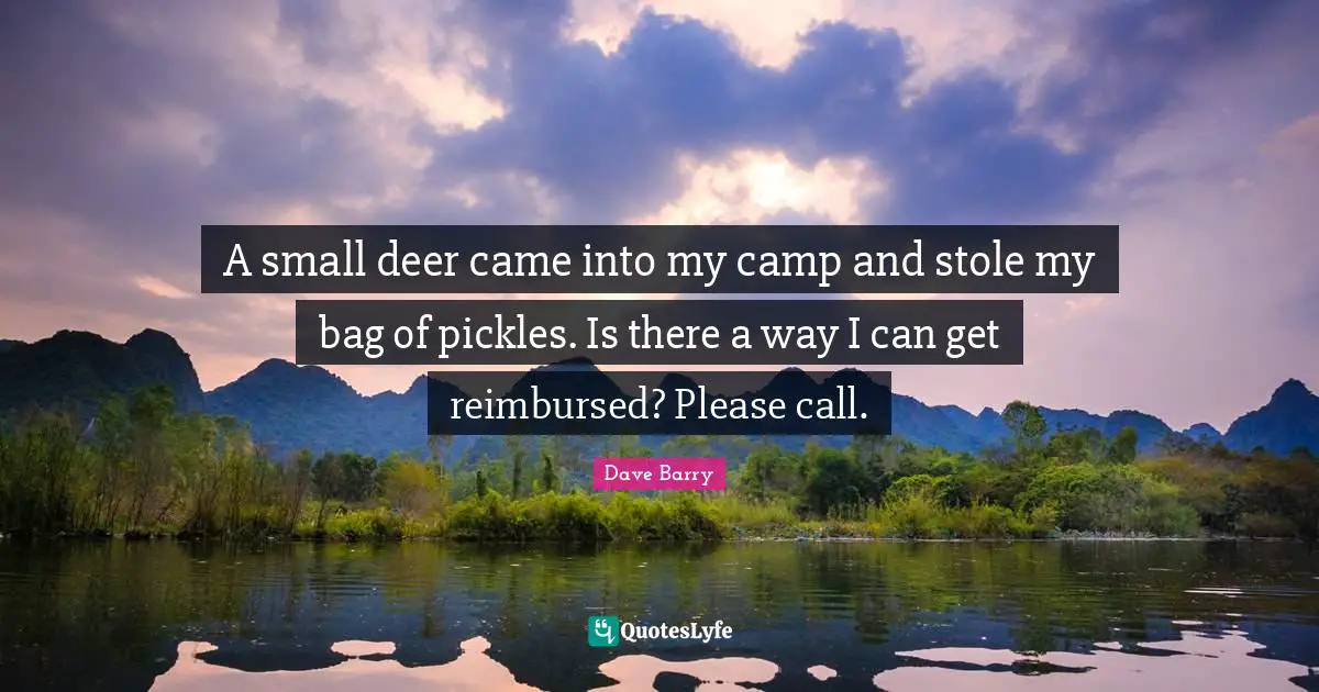 A small deer came into my camp and stole my bag of pickles. Is there a way I can get reimbursed? Please call.