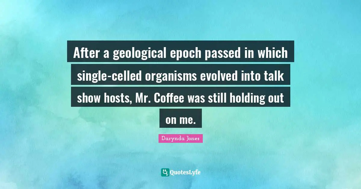 After a geological epoch passed in which single-celled organisms evolved into talk show hosts, Mr. Coffee was still holding out on me.