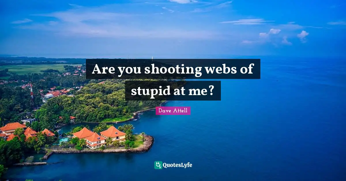 Are you shooting webs of stupid at me?