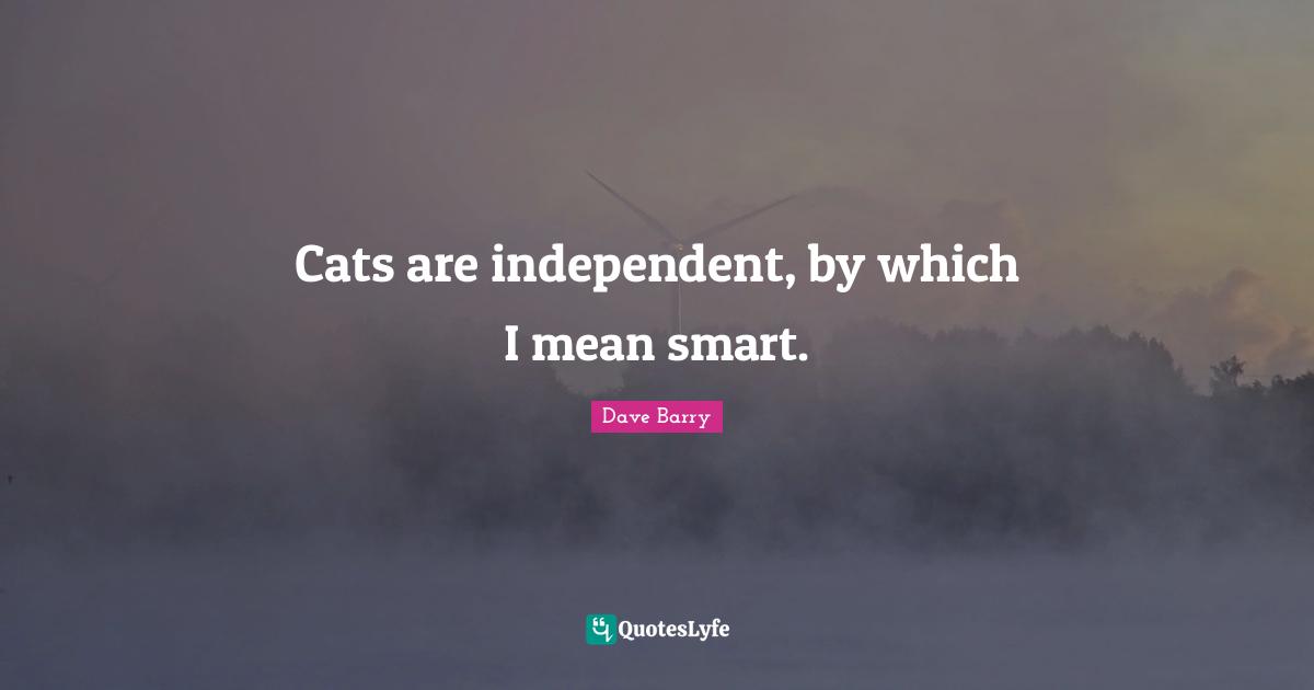 Cats are independent, by which I mean smart.