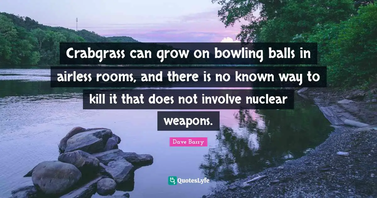 Crabgrass can grow on bowling balls in airless rooms, and there is no known way to kill it that does not involve nuclear weapons.