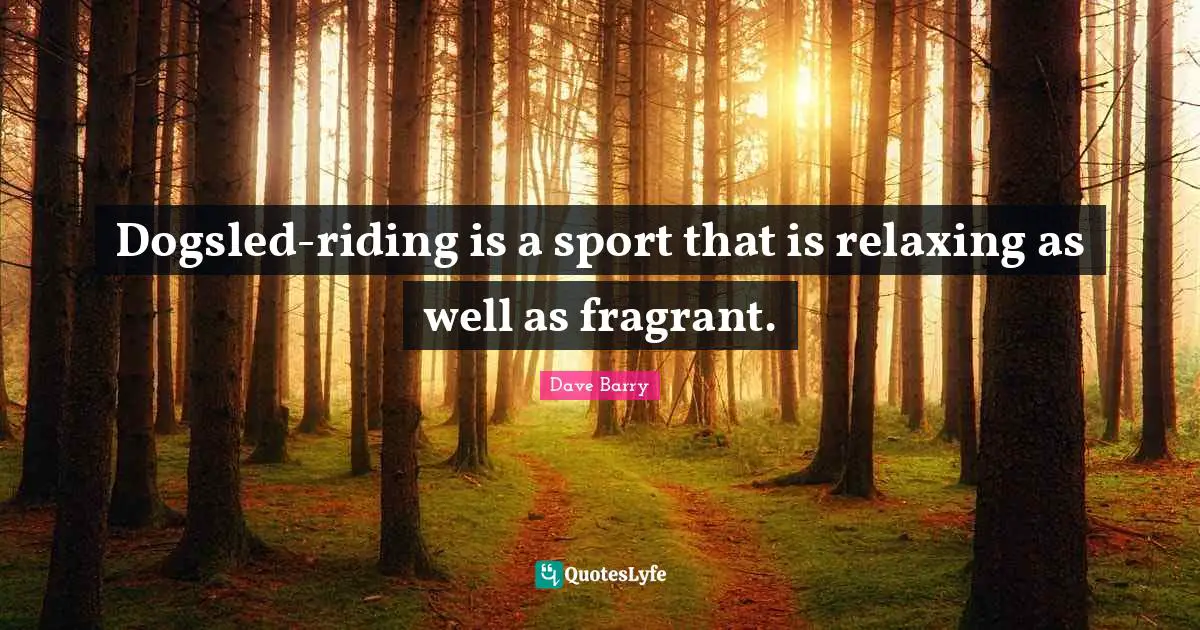 Dogsled-riding is a sport that is relaxing as well as fragrant.