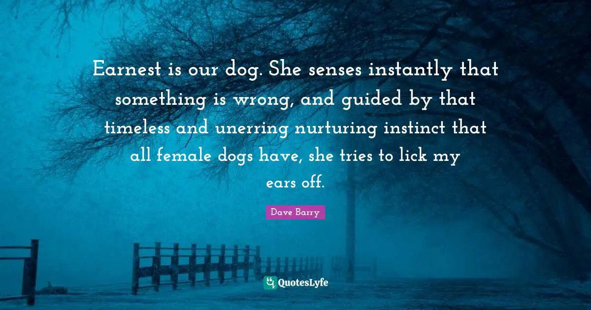 Earnest is our dog. She senses instantly that something is wrong, and guided by that timeless and unerring nurturing instinct that all female dogs have, she tries to lick my ears off.