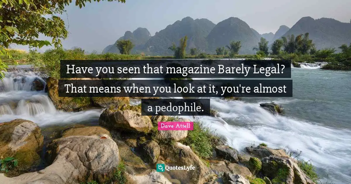 Have you seen that magazine Barely Legal? That means when you look at it, you're almost a pedophile.