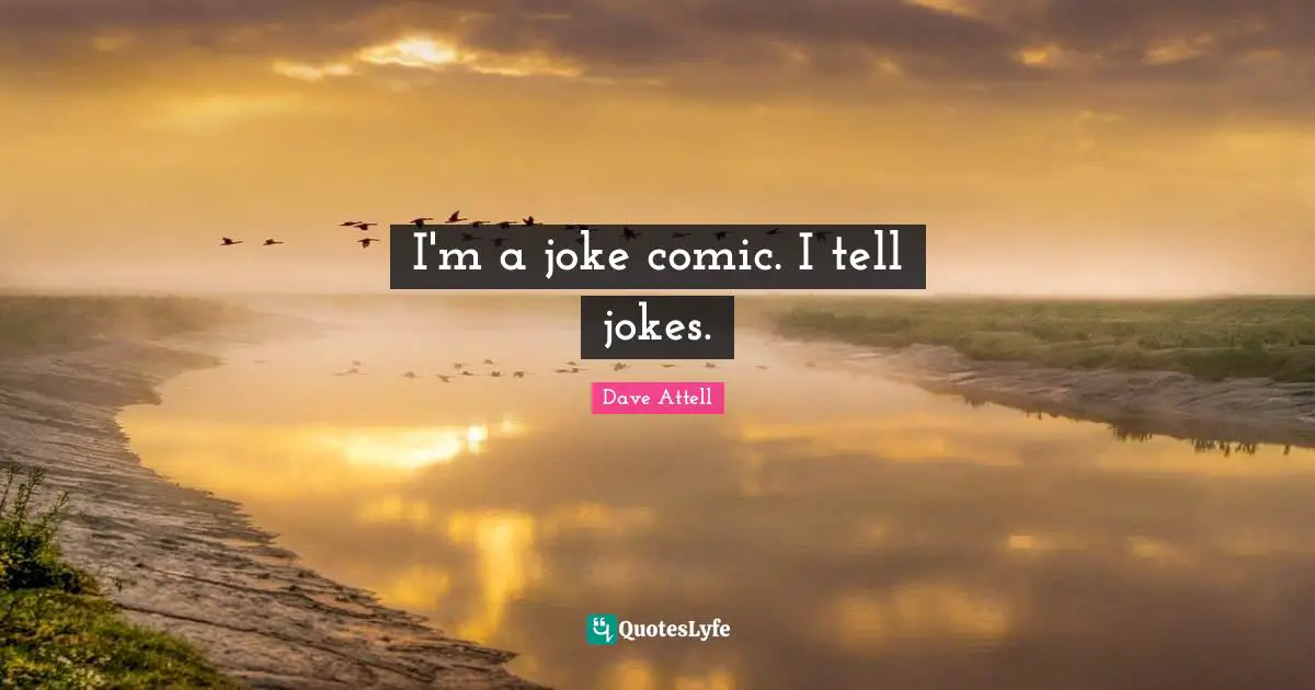 I'm a joke comic. I tell jokes.